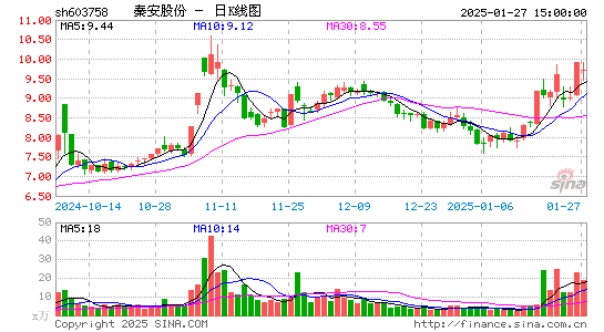 秦安股份