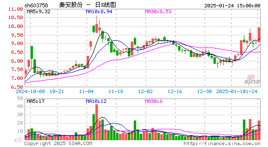 秦安股份