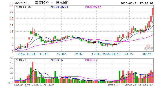 秦安股份