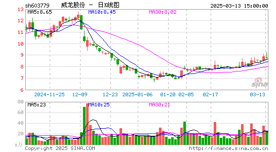 威龙股份