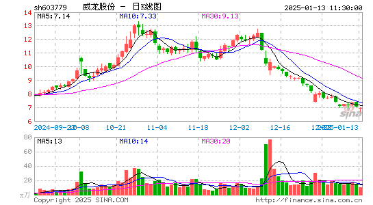 威龙股份