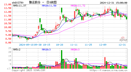 雅运股份