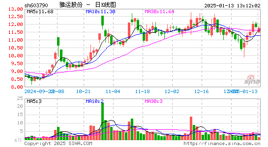 雅运股份