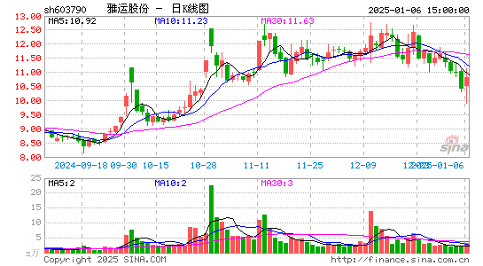 雅运股份