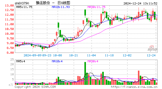 雅运股份