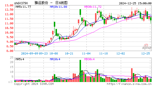 雅运股份