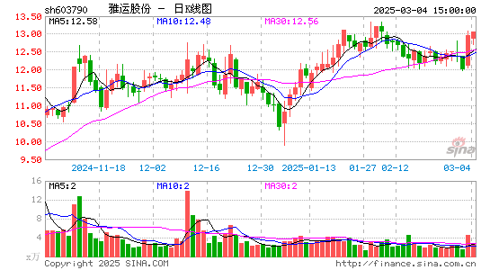 雅运股份