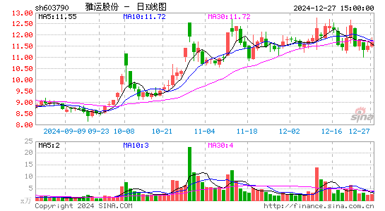 雅运股份