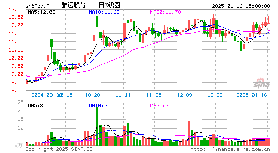 雅运股份