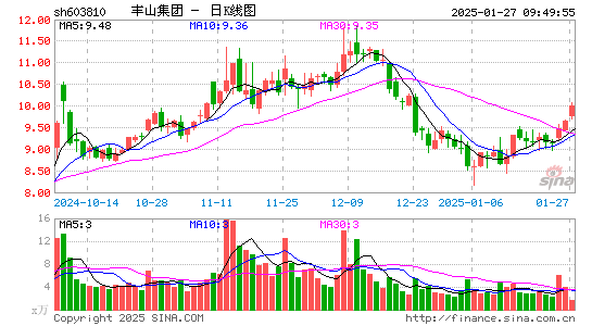 丰山集团