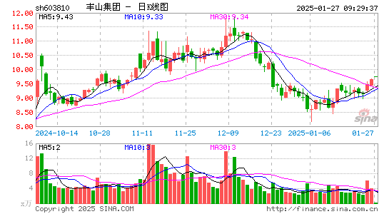 丰山集团