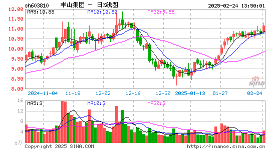 丰山集团