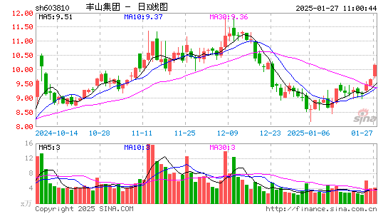 丰山集团