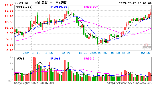 丰山集团