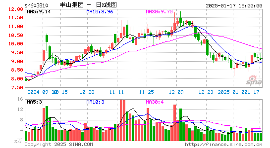 丰山集团