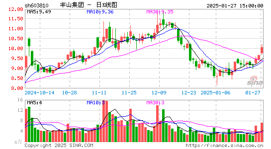 丰山集团