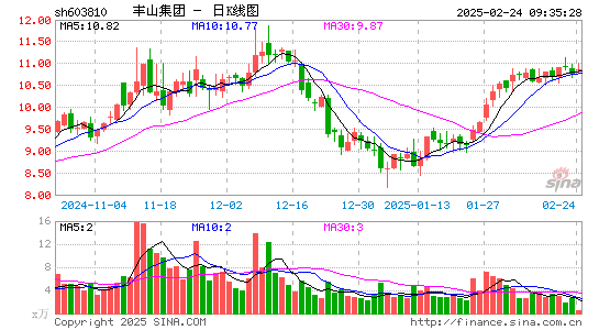 丰山集团