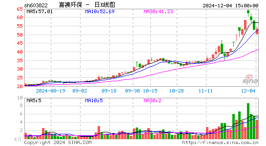 嘉澳环保