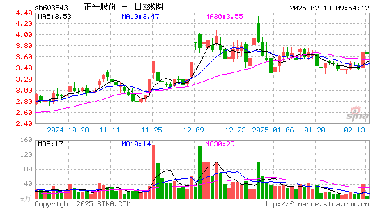 正平股份