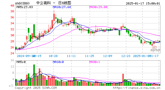 中公高科