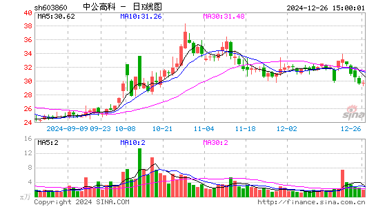 中公高科