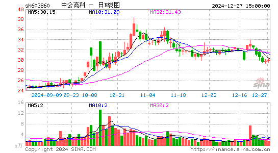 中公高科