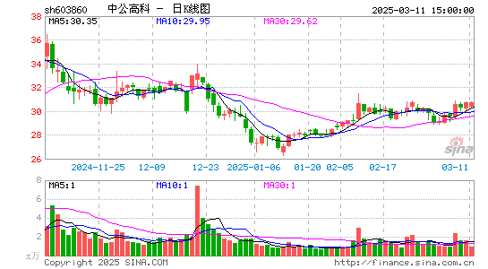 中公高科