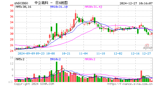 中公高科