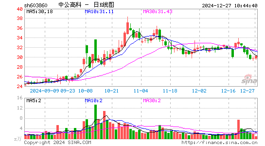 中公高科