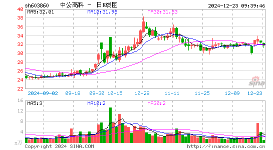 中公高科