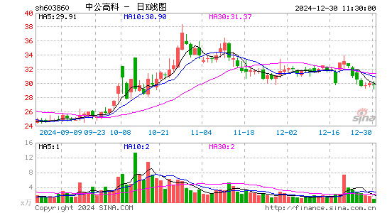 中公高科