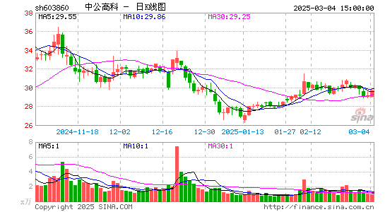 中公高科