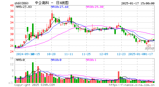 中公高科