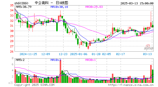 中公高科