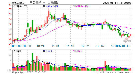 中公高科