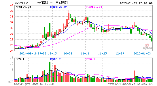 中公高科