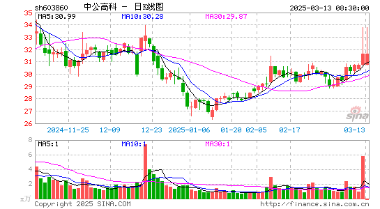 中公高科