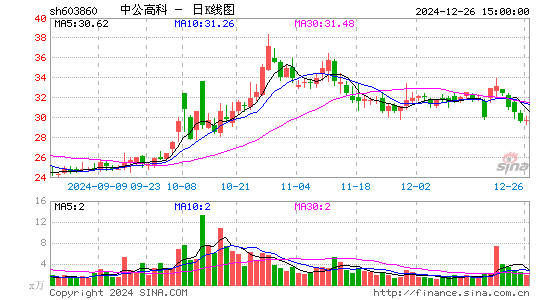 中公高科