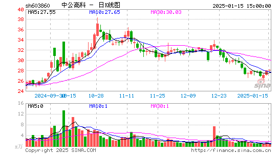 中公高科