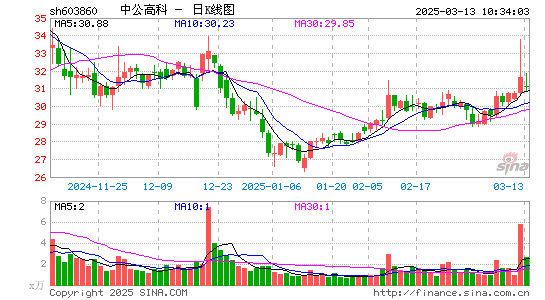 中公高科