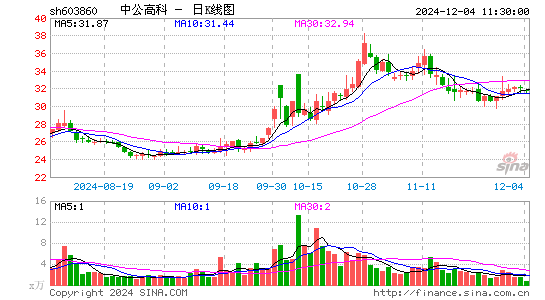 中公高科