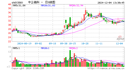 中公高科