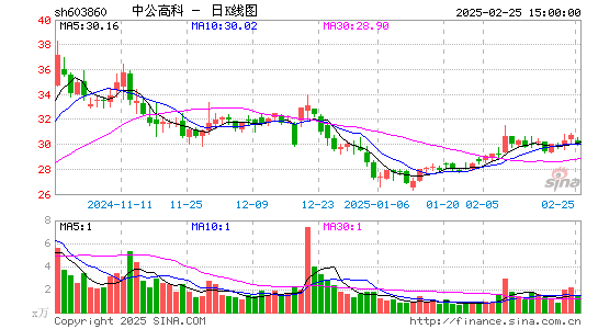 中公高科