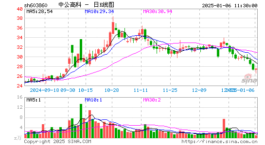 中公高科