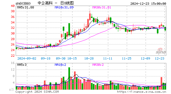 中公高科