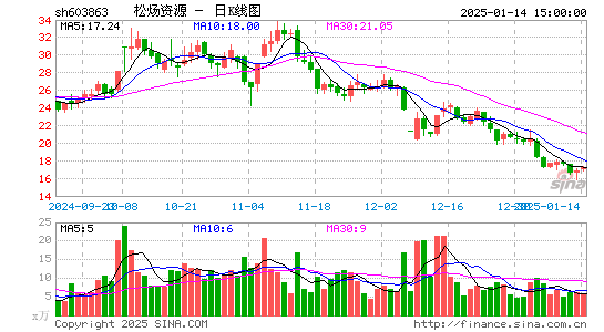 松炀资源