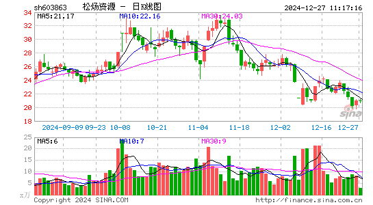 松炀资源