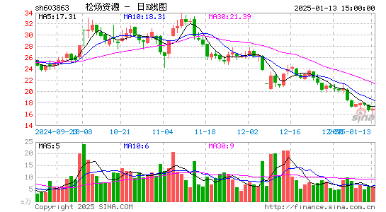 松炀资源