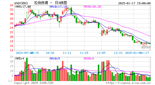 松炀资源