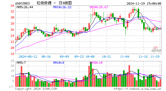 松炀资源